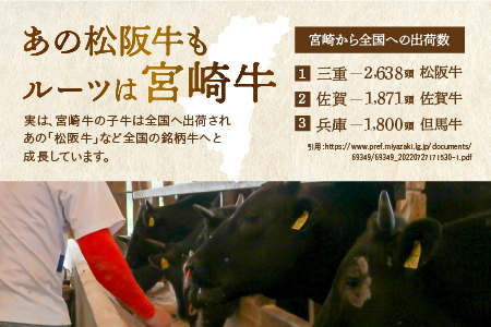 宮崎牛 ロース ステーキ 4枚 1kg 牛肉 肉 国産 小分け ブランド牛 ギフト 贈り物 九州 宮崎 霜降り