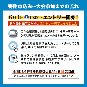 【2024年10月27日開催】照葉樹林　綾マラソン2024出走権【３km・大人】_94-05