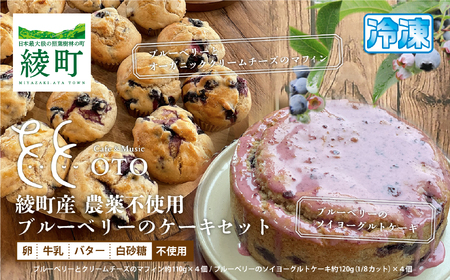 綾町産無農薬ブルーベリーとオーガニッククリームチーズのマフィン&ブルーベリーのソイヨーグルトケーキセット