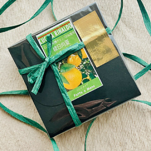 ピールチョコ（綾日向夏ミルク）白砂糖不使用♪（0021-059）