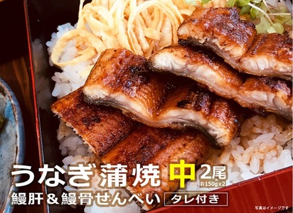うなぎ蒲焼（中サイズ）２尾 ～鰻肝＆鰻骨せんべい付き～（0065-008）