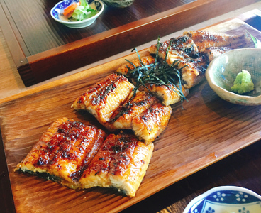 うなぎ蒲焼（中サイズ）２尾 ～鰻肝＆鰻骨せんべい付き～（0065-008）