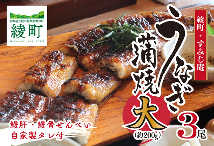 うなぎ蒲焼（大）３尾（0065-011）