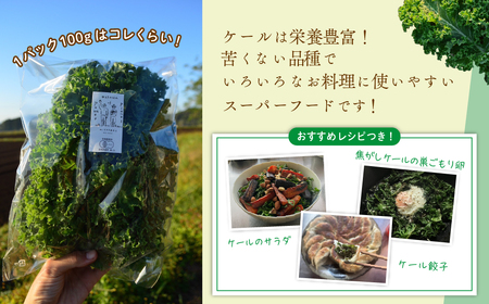 綾町産有機ケール 300g＆ビーツ 1.2kg[おすすめレシピ付き]