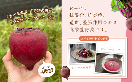 綾町産有機ケール 300g＆ビーツ 1.2kg[おすすめレシピ付き]