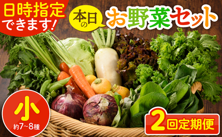 【２回定期便】日時指定OK！本日のお野菜セット （小サイズ/約7-8種）1～2人用 / 新鮮野菜 定期便 産地直送 野菜定期便 季節のおまかせ定期便 野菜 野菜詰め合わせ 野菜セット 有機栽培 野菜 果物 きのこ類 サラダ 野菜 やさい 定期便 2ヵ月 送料無料 【オーガニックのまち 宮崎県綾町】