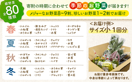 【６回定期便】日時指定OK！本日のお野菜セット （中サイズ/約10種） 2～3人用 / 新鮮野菜 定期便 産地直送 野菜定期便 季節のおまかせ定期便 野菜 野菜詰め合わせ 野菜セット 有機栽培 野菜 果物 きのこ類 サラダ 野菜 やさい 定期便 6ヵ月 送料無料 【オーガニックのまち 宮崎県綾町】