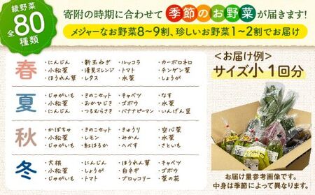 【２回定期便】日時指定OK！本日のお野菜セット （大サイズ/約12種） 4人以上用 / 新鮮野菜 定期便 産地直送 野菜定期便 季節のおまかせ定期便 野菜 野菜詰め合わせ 野菜セット 有機栽培 野菜 果物 きのこ類 サラダ 野菜 やさい 定期便 2ヵ月 送料無料 【オーガニックのまち 宮崎県綾町】