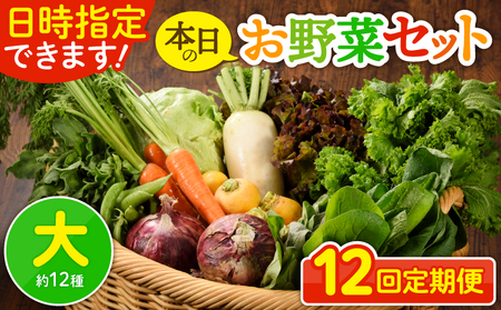 【12回定期便】日時指定OK！本日のお野菜セット （大サイズ/約12種） 4人以上用 / 新鮮野菜 定期便 産地直送 野菜定期便 季節のおまかせ定期便 野菜 野菜詰め合わせ 野菜セット 有機栽培 野菜 果物 きのこ類 サラダ 野菜 やさい 定期便 12ヵ月 送料無料 【オーガニックのまち 宮崎県綾町】