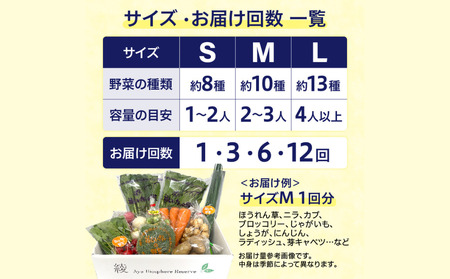 綾町旬野菜ギフト（Sサイズ）