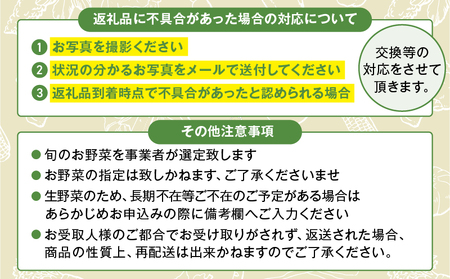 【３回定期便】綾町旬野菜ギフト（Sサイズ / 約8種）1～2人分 / 産地直送 野菜セット 野菜詰め合わせ 定期便 新鮮野菜 野菜定期便 有機栽培 採れたて野菜 定期便 送料無料 【オーガニックのまち 宮崎県綾町】