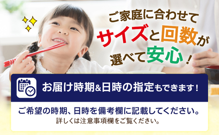 【3回定期便】綾町旬野菜ギフト(Mサイズ / 約10種)2~3人分/ 野菜 朝どれ 無農薬 減農薬 栽培期間中 有機栽培 産地直送 新鮮 旬 詰め合わせ サラダ 果物 きのこ類 やさい 送料無料 定期便 3カ月【オーガニックのまち 宮崎県綾町】