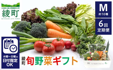 【６回定期便】綾町旬野菜ギフト（Mサイズ / 約10種）2～3人分 / 産地直送 野菜セット 野菜詰め合わせ 定期便 新鮮野菜 野菜 定期便 有機栽培 採れたて 野菜 定期便 送料無料 【オーガニックのまち 宮崎県綾町】