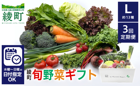 【３回定期便】綾町旬野菜ギフト（Lサイズ / 約13種）4人以上分 / 産地直送 野菜セット 野菜詰め合わせ 定期便 新鮮野菜 野菜 定期便 有機栽培 採れたて 野菜 定期便 送料無料 【オーガニックのまち 宮崎県綾町】