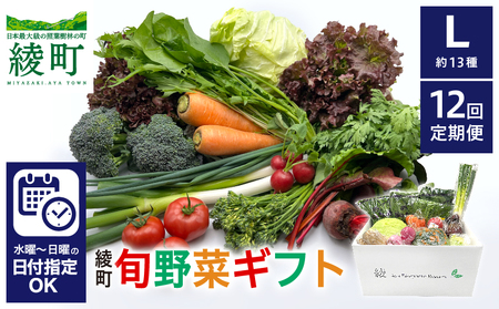 綾町旬野菜ギフト（Lサイズ）【全12回定期便】