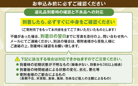 綾町旬野菜ギフト（Lサイズ）【全12回定期便】