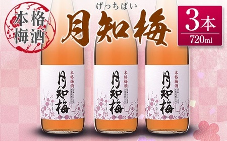 【雲海酒造】国産梅100%使用 本格梅酒「月知梅」720ml×3本