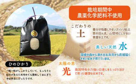 【新米】おにぎり坊主の美味しいお米５kg（ひのひかり）