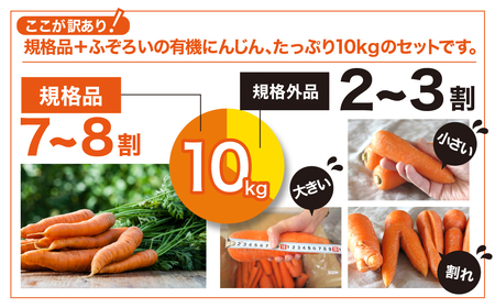 【有機JAS】 ジュースに最適！たっぷりにんじん10kg！（訳ありふぞろい規格）