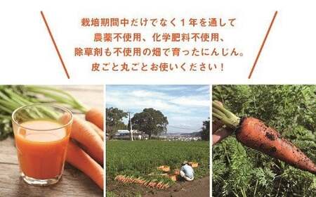 【有機JAS】 ジュースに最適！たっぷりにんじん10kg！（訳ありふぞろい規格）