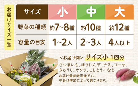 【全４回定期便】春夏秋冬 季節のお野菜セット（サイズ中） 【宮崎県 10種 定期便 詰め合わせ 新鮮 産地直送 おまかせ 季節の野菜 ボックス 農家直送 有機栽培 送料無料 オーガニックのまち 宮崎県綾町】