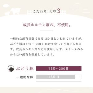 「綾ぶどう豚」とんかつ屋の肩ロース味噌漬 4枚×2パック
