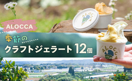 日時指定可能◎オーガニックタウン綾町から届く、季節のクラフトジェラート〈12個セット〉