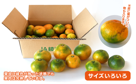 【2025年先行予約】ゆら早生みかん 2.5kg サイズミックス 宮崎県 綾町