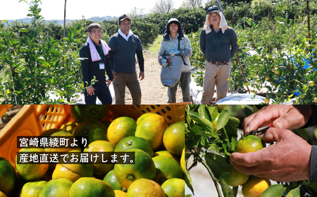 【2025年先行予約】ゆら早生みかん 2.5kg サイズミックス 宮崎県 綾町