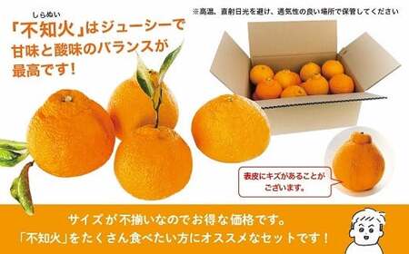 [先行予約] 不知火 サイズいろいろ お得な5kg【みかん しらぬい 不知火 フルーツ 柑橘 蜜柑 果物 くだもの 宮崎 綾町】