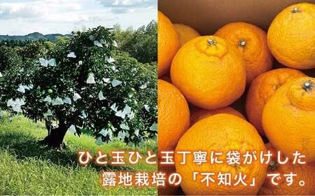 [先行予約] 不知火 サイズいろいろ お得な5kg【みかん しらぬい 不知火 フルーツ 柑橘 蜜柑 果物 くだもの 宮崎 綾町】