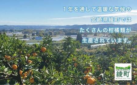 [先行予約] 不知火 サイズいろいろ お得な5kg【みかん しらぬい 不知火 フルーツ 柑橘 蜜柑 果物 くだもの 宮崎 綾町】