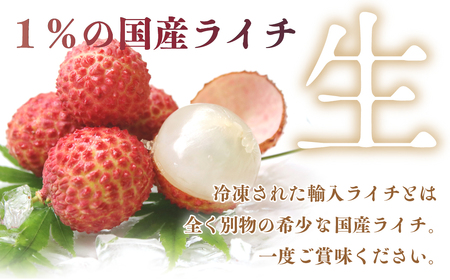 【先行予約/数量限定】希少 国産 綾生ライチ 2種食べ比べセット/ 宮崎県 果物 フルーツ