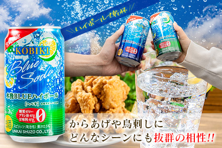 【3か月定期便】雲海酒造 宮崎限定 木挽BLUE ハイボール へべす 350ml×24本（木挽ブルー）