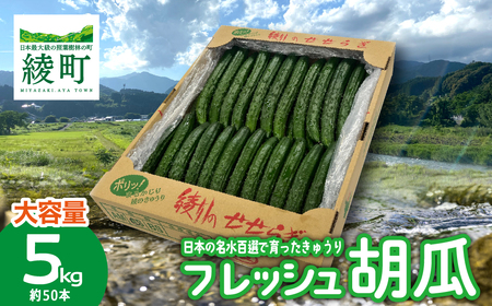 綾川の恵み「フレッシュ胡瓜(きゅうり)」5kg
