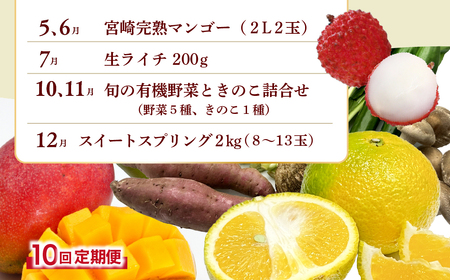 【全10回お届け】宮崎県綾町産 果物・野菜定期便 [X21]