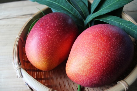 【全3回お届け】至極 完熟マンゴー 2L・2玉［Z20］