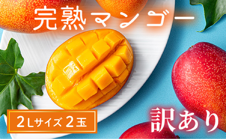 【訳あり】完熟マンゴー 2L×2玉（パック）濃厚 宮崎 果物 フルーツ 贈答 ギフト 甘い 先行受付 送料無料