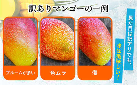 【訳あり】完熟マンゴー 2L×2玉（パック）濃厚 宮崎 果物 フルーツ 贈答 ギフト 甘い 先行受付 送料無料