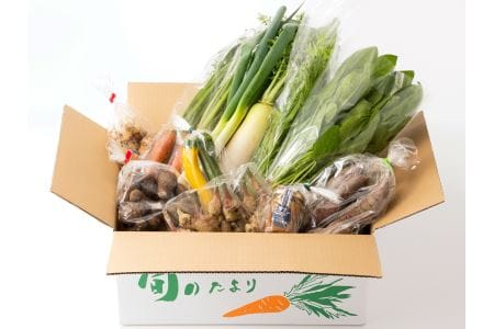 こだわり農家の野菜＆ジャムセット　無農薬　無化学肥料栽培