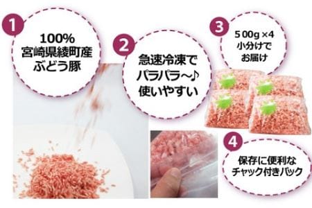 綾ぶどう豚100% パラパラ豚ミンチ 2kg(500g×4)（36-182）