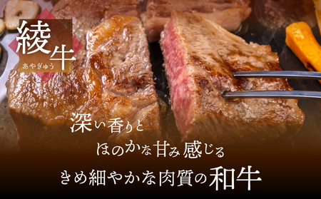 A4A5等級 黒毛和牛 霜降り 綾牛ロースステーキ（４００ｇ） 赤身 とろける