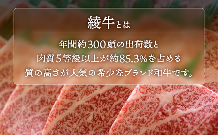 A4A5等級 黒毛和牛 霜降り 綾牛ロースステーキ（４００ｇ） 赤身 とろける