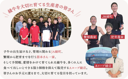 A4A5等級 黒毛和牛 霜降り 綾牛ロースステーキ（４００ｇ） 赤身 とろける