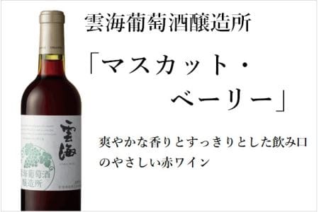 雲海 葡萄酒 醸造所 ワイン 鶏 ささみ くんせい セット おつまみ 飲み比べ 甘口 白 辛口 赤 スモーク 燻製