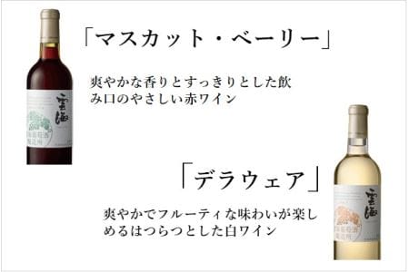 雲海ワインセット5種 国産100% 赤 白 飲み比べ