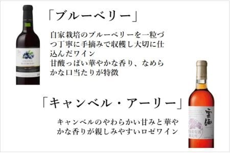 雲海ワインセット5種 国産100% 赤 白 飲み比べ