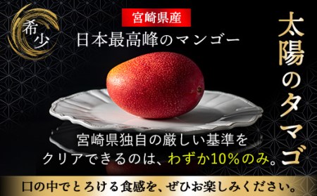太陽のタマゴ 3玉 約1kg 完熟 マンゴー 濃厚 宮崎 高級 果物 フルーツ 贈答 ギフト 先行受付 送料無料 （14-68）