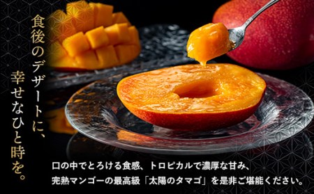 太陽のタマゴ 3玉 約1kg 完熟 マンゴー 濃厚 宮崎 高級 果物 フルーツ 贈答 ギフト 先行受付 送料無料 （14-68）