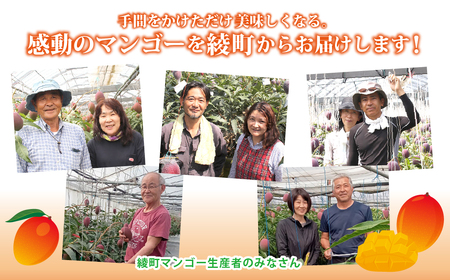 【先行予約/数量限定】完熟マンゴー ２L×２玉（パック）/ 宮崎県産 マンゴー 果物 フルーツ